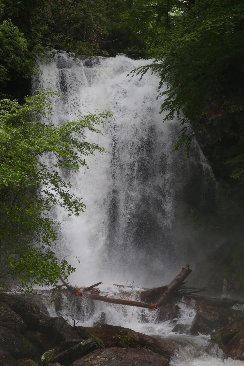 <p>Here are some more photos of Anna Ruby Falls. (Photo by <strong><a href=