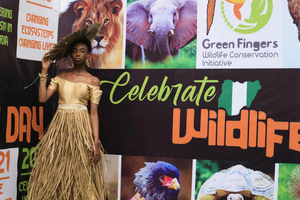 Model Obum Daniel Amarachukwu wears an outfit made from recycled palm front poses for a photograph at the green carpet before a 'trashion show' in Sangotedo Lagos, Nigeria, Saturday, Nov. 19, 2022. (AP Photo/Sunday Alamba)