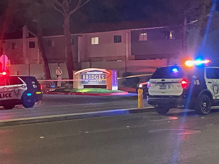 <em>Las Vegas Metro police confirmed to 8 News Now that the stabbing took place Thursday shortly before 6:30 p.m. at an apartment complex in the 6200 block of West Tropicana Avenue near Jones Boulevard. (KLAS)</em>