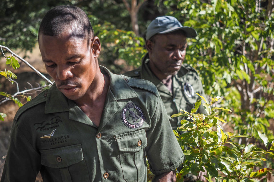 Patrolling for animal traps with the anti-poaching unit  (Olympus E-M1II, M.Zuiko 12-40mm, 1/1000 sec, f/2.8, ISO200)