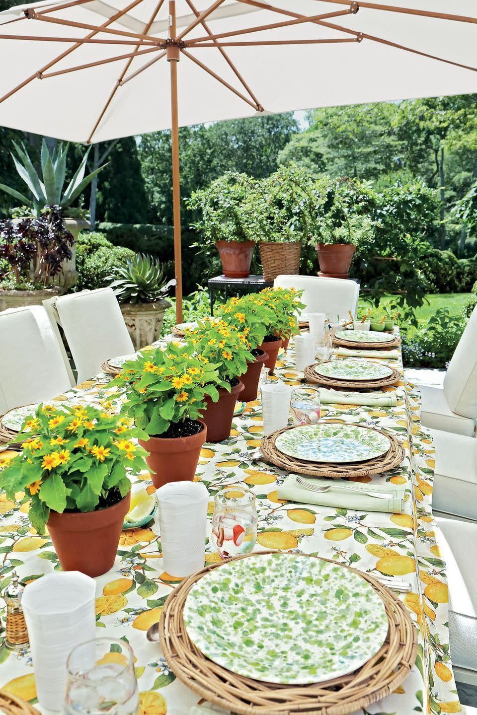 Set a Bright Tablescape