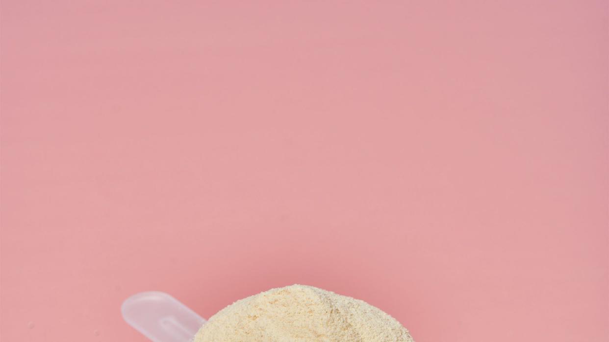 whey protein powder in a scoop