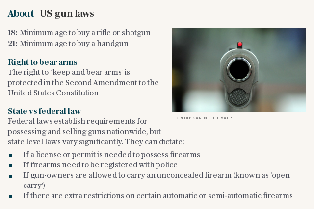 About | US gun laws