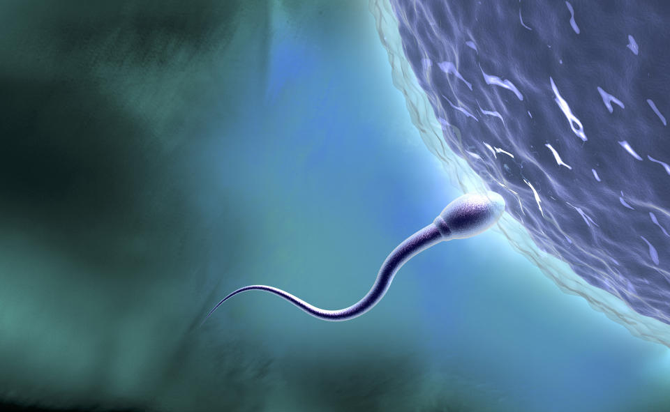 A father's health may 'affect the genetic make-up and expression in the sperm, and this may alter how well the placenta functions'. (Stock, Getty Images)