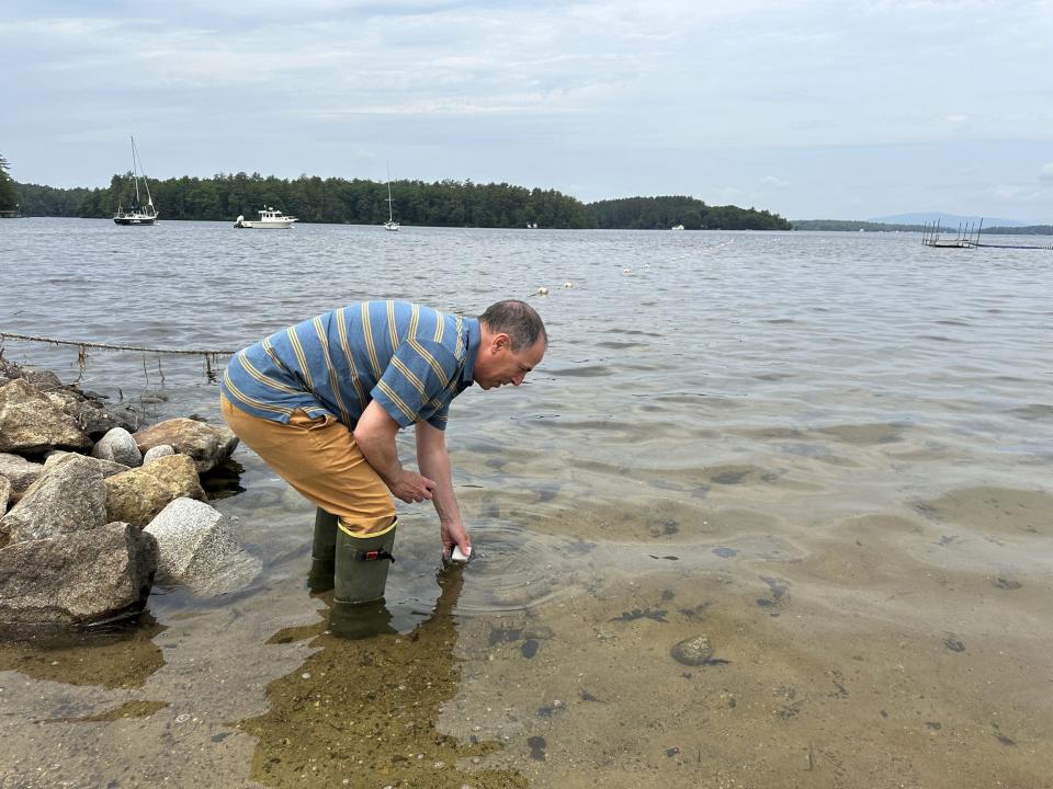 David Neils, the chief aquatic biologist at the New Hampshire Dept. of Environmental Services, inspects water of Lake Winnipesaukee at 19 Mile Beach, Friday, June 14, 2024, in Tuftonboro N.H., for signs of algae bloom. State officials have issued two warnings of potentially dangerous algae blooms along the lake, which is the state's largest. (AP Photo/Nick Perry)