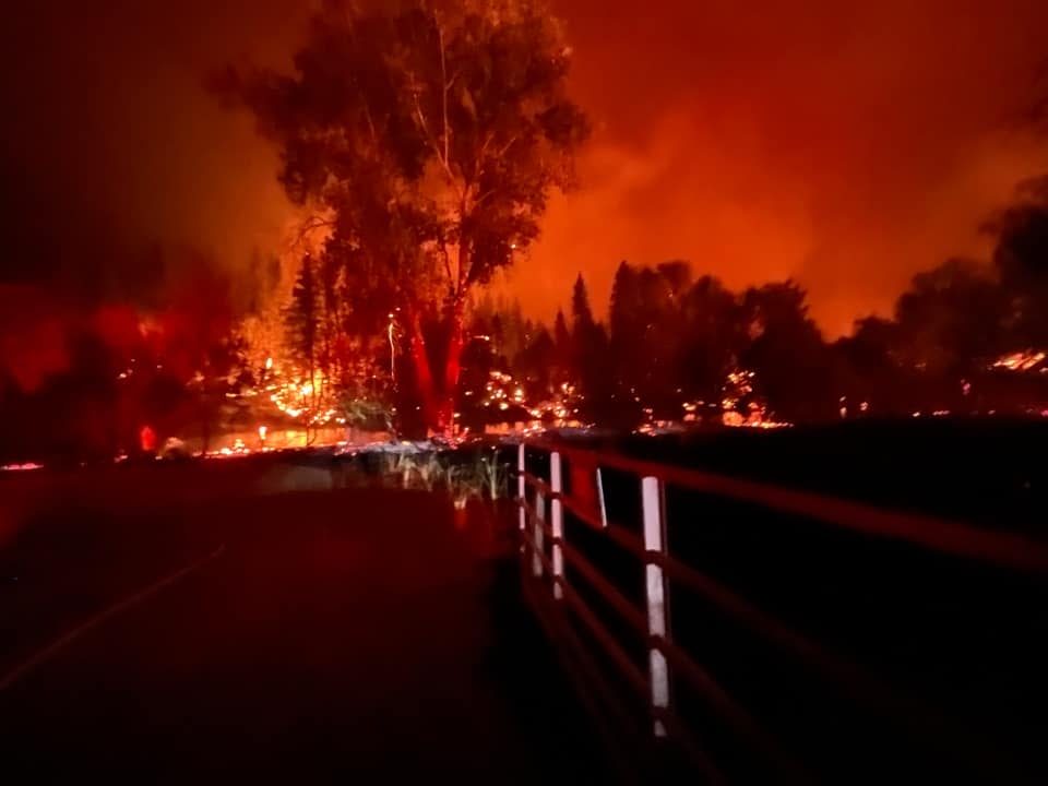 麥金尼（McKinney）野火29日起於加州核俄勒岡州邊界的錫斯基尤縣（Siskiyou）肆虐，人們目睹野生動物紛紛逃竄避難，當局並強制撤離周圍100多戶民宅。   圖：擷自推特