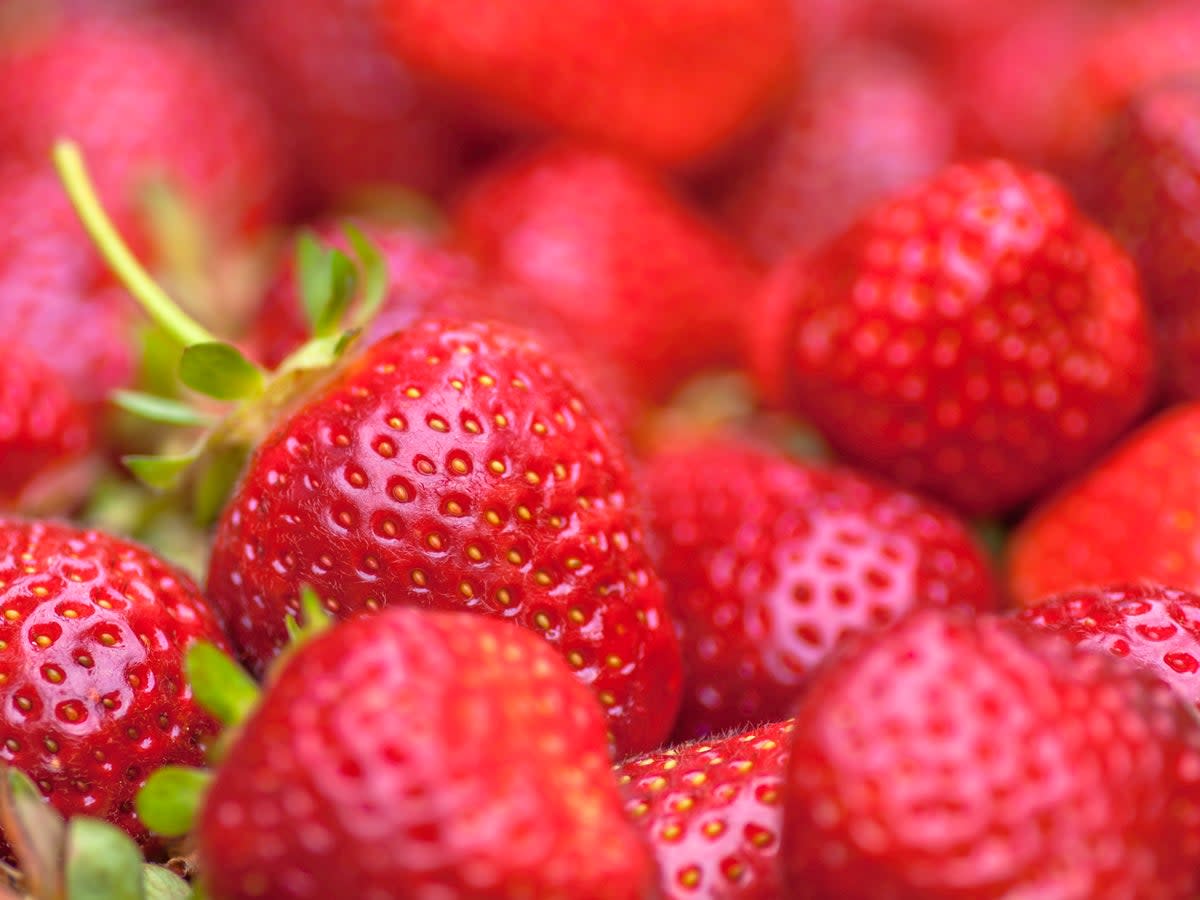 British strawberries are currently in season  (Getty)