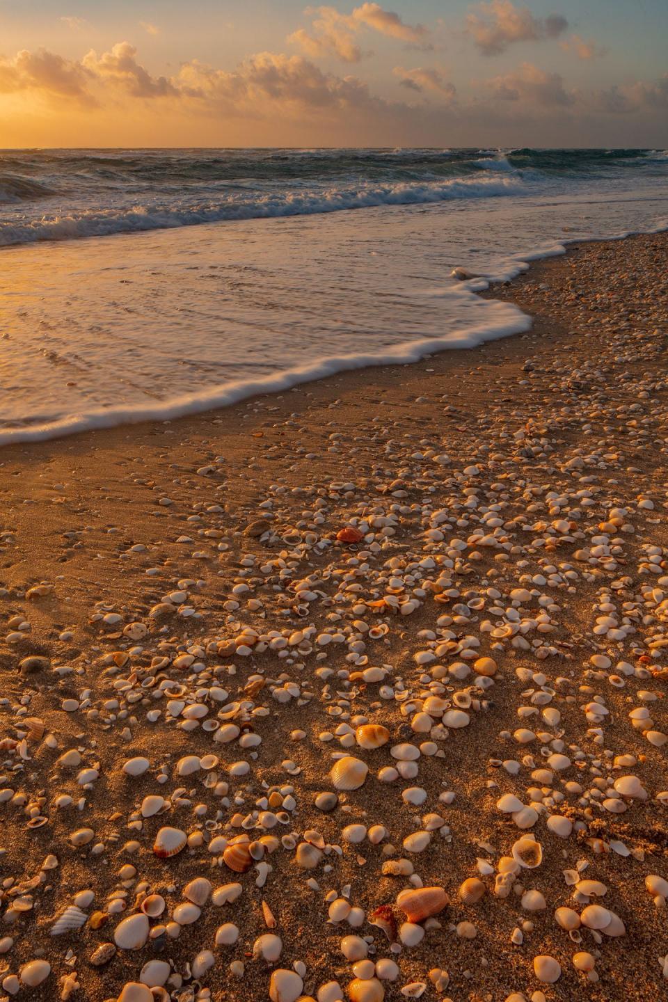 The photographer Craig Blacklock has photographed the interface of land and water in wilderness areas for nearly 50 years. He will speak at FOTOfusion 2024, which begins Jan. 31 in West Palm Beach.