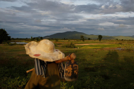 A farmer walks to work in Kampong Speu, Cambodia, July 4, 2018. REUTERS/Ann Wang