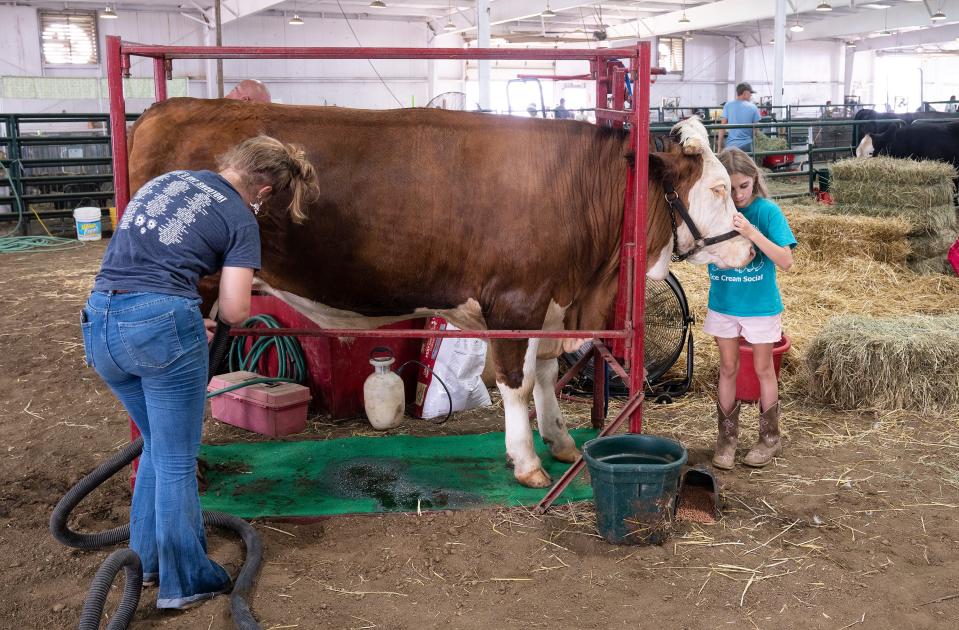 Anna Parker, 9, embraces Oliver, the market steer, as her sister 15-year-old Eva Parker, works on drying him Monday at the Franklin County Fair. The Parkers are third-generation competitors in the 4H contest at the Fair.