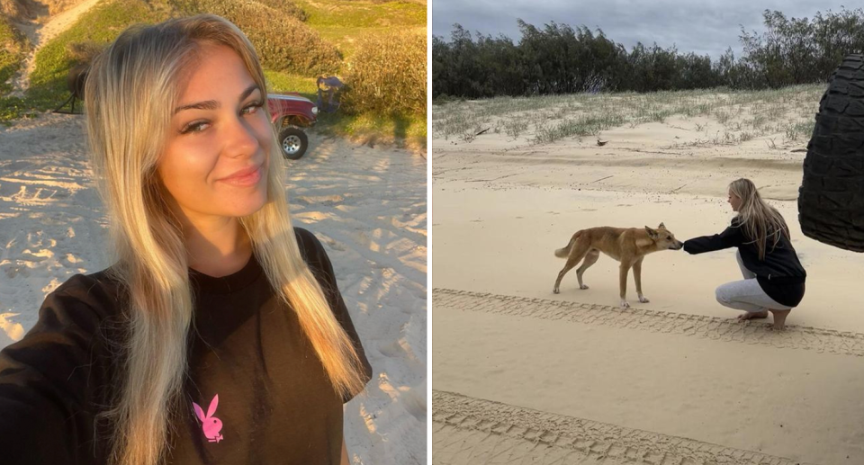 Aussie influencer, Zara Mander, interacting with dingoes at K'gari