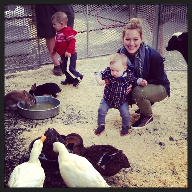 25) When They Met the Ducks and Bunnies