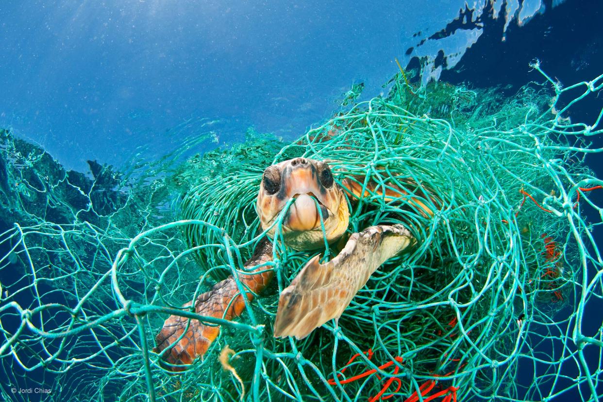 A loggerhead turtle caught in an old fishing net in the Mediterranean Sea off Spain, in a photograph at the ArtScience Museum's Planet Or Plastic exhibition by National Geographic. (Photo: Jordi Chias)