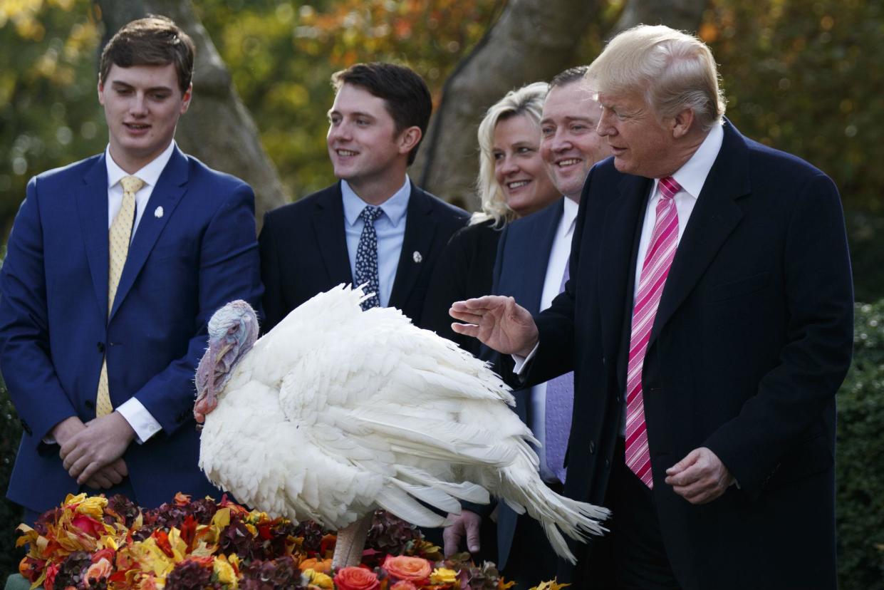 President Donald Trump pardons Drumstick during the National Thanksgiving Turkey Pardoning Ceremony (AP Photo/Evan Vucci)