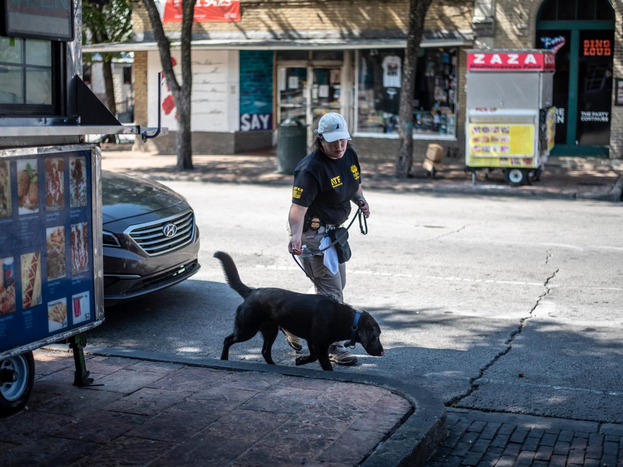 An ATF K9 unit surveys the area near the scene of a shooting on June 12, 2021 in Austin, Texas. (Getty Images)