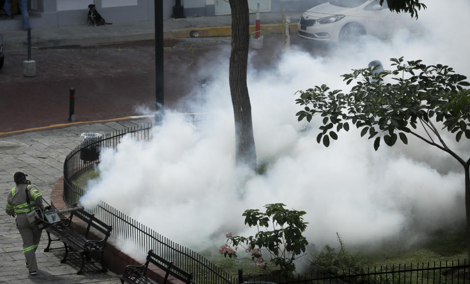 In this photo taken on Sept. 6, 2019, a Panama Ministry Health worker fumigates an area near a public park to prevent against the mosquito-spread virus that transmits dengue fever in Panama City. As a region, Central America and Mexico have already recorded nearly double the number of dengue cases as in all the previous year. (AP Photo/Arnulfo Franco)