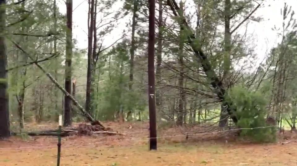 Damaged and fallen trees seen following a tornado in Beauregard, Alabama, U.S. in this March 3, 2019 still image obtained from social media video. (Photo: Scott Fillmer /via Reuters)