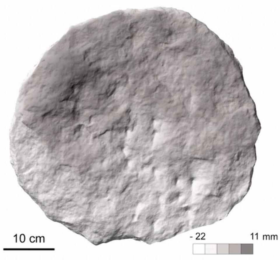 Digital elevation model of the main face (the one with 24 incisions) of the stone analyzed in the study (Bernardini et al., Documenta Praehistorica, 2022)