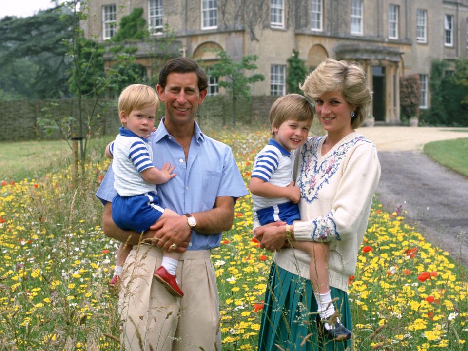 prince charles princess diana harry william