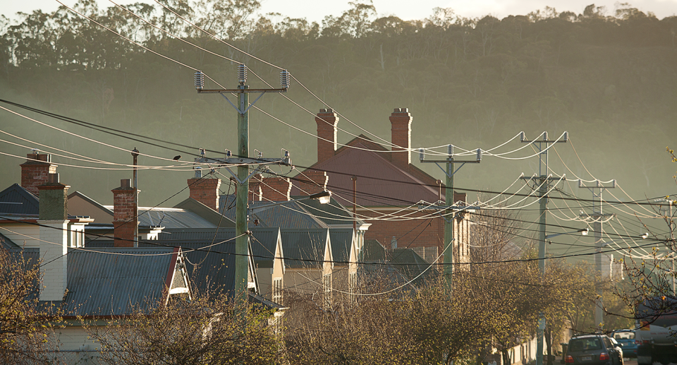 Devices such as flappers need to be added to more powerlines argues Mr Webb. Source: Getty