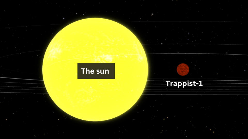 An illustration showing the size difference between Trappist-1 and the sun.  The sun is much bigger.