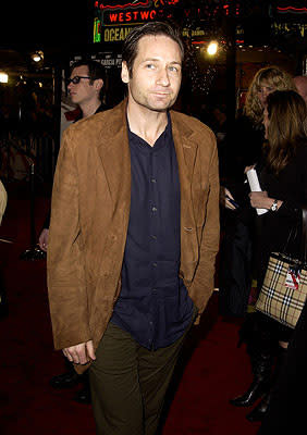 David Duchovny at the Westwood premiere of Warner Brothers' Ocean's Eleven