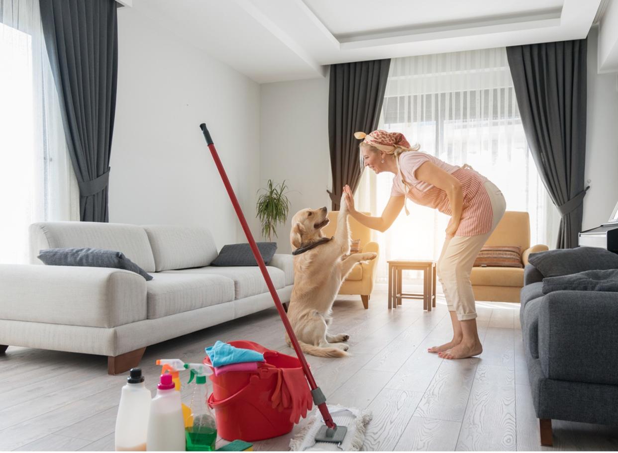 Got pets? Messes abound. Save up to 50% on these pet parents' cleaning products (Source: iStock).