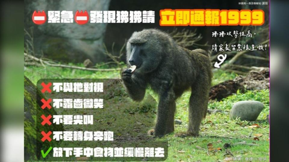 林務局表示，如果民眾遇到狒狒，採取4不行為。（圖取自林務局-森活情報站 臉書）