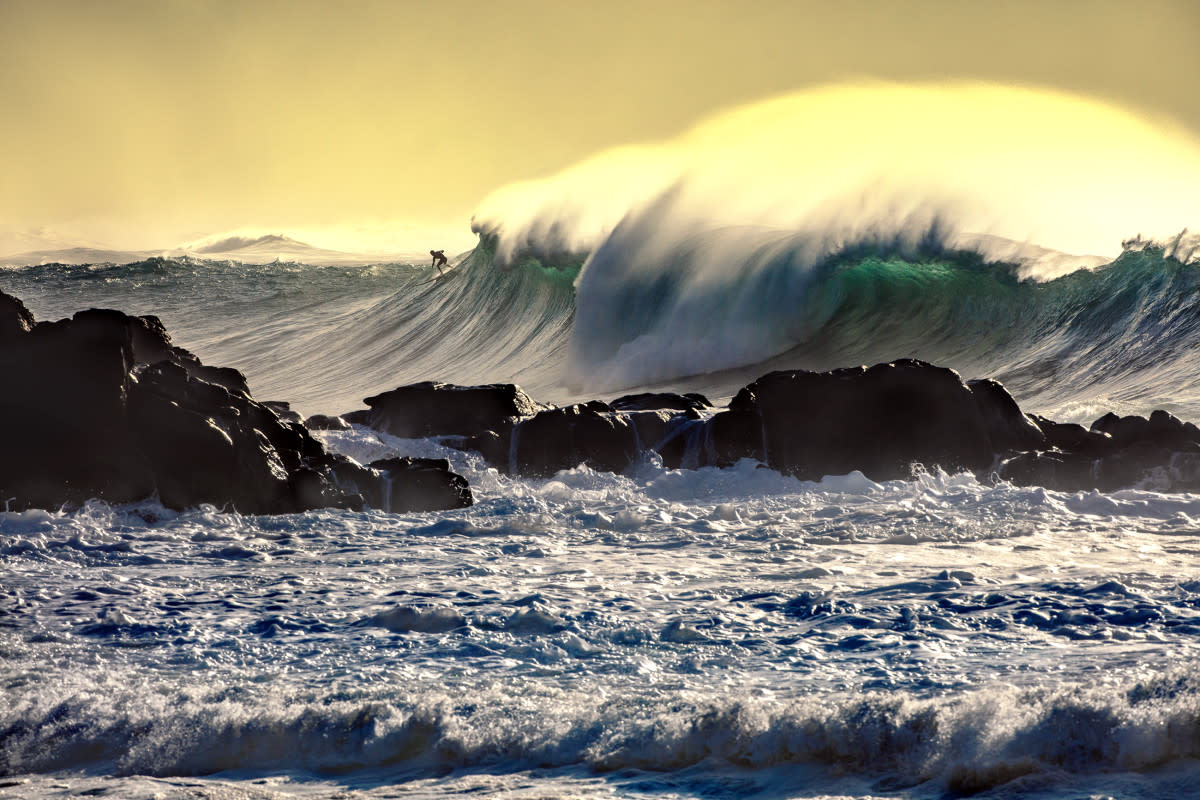 Waimea Bay. 