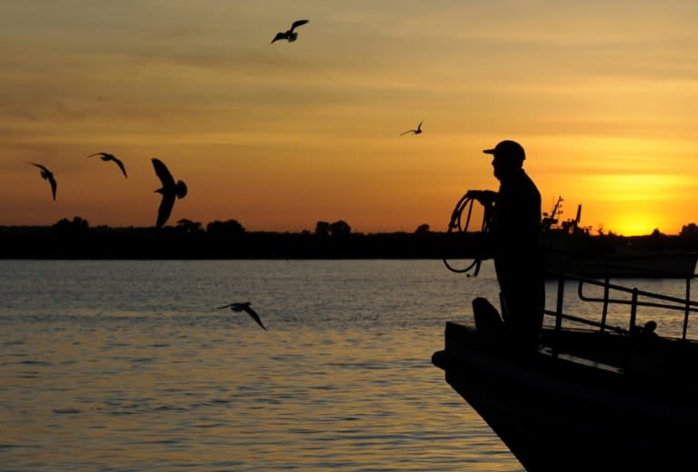 Between 2011 and 2015, European fleets caught 700,000 tonnes of fish and seafood in British waters