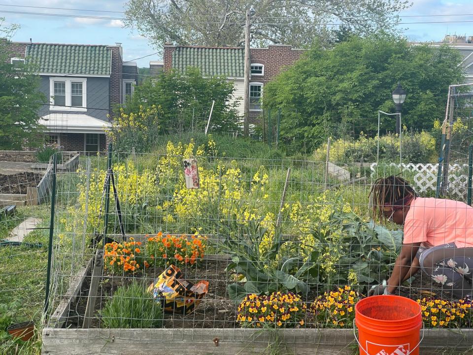 A Wilmington resident tends to a garden in Rodney Street Park on Thursday, May 12, 2022. Dozens of residents gathered at the park recently concerned about the city's plans to demolish an unused reservoir and convert the park into housing.