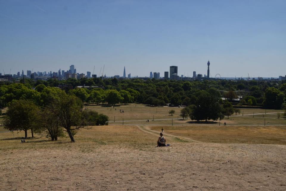 Hampstead Heath in London dried up as a result of the ongoing warm weather (Getty Images)