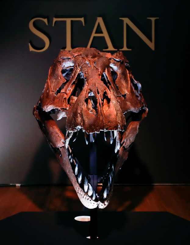 Tyrannosaurus Rex skeleton "STAN" on display ahead of being auctioned by Christie's in New York