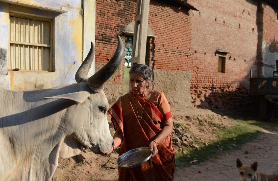 Modi’s estranged wife Jashodaben Chimanlal, a retired schoolteacher in her 70s, lives in near obscurity with her relatives near Vadnagar (AFP via Getty)