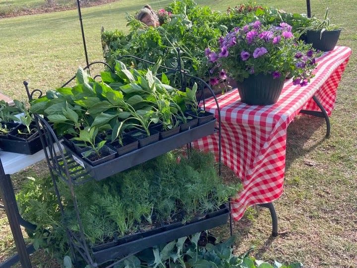 The outdoor Arcadia Farmers Market will be open from 9 a.m. to 1 p.m. each Saturday through Aug. 27 at Route 66 and Division Street in Arcadia.