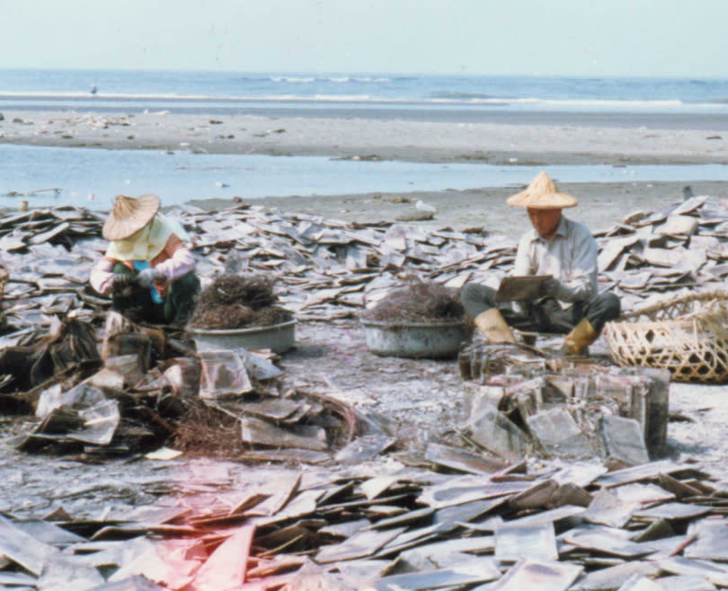 二仁溪中游在1960年代出現大量專門處理廢五金與提煉的工廠，使用有毒酸性化學溶劑以提煉貴金屬，且將廢水倒入二仁溪造成嚴重汙染。（圖／報系資料照）