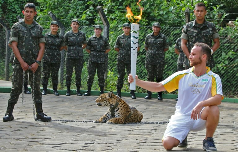 The jaguar involved in the Rio 2016 relay later escaped (Jair Araujo)