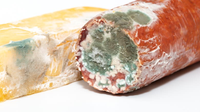 moldy sausage and cheese