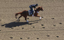 Triple Crown hopeful I'll Have Another gallops on the track with exercise rider Jonny Garcia aboard, during a morning workout at Belmont Park in Elmont, New York, June 7, 2012. I'll Have Another will attempt to become the first horse since Affirmed in 1978 to win racing's coveted Triple Crown when he runs in the 2012 Belmont Stakes on June 9 at Belmont Park. REUTERS/Shannon Stapleton