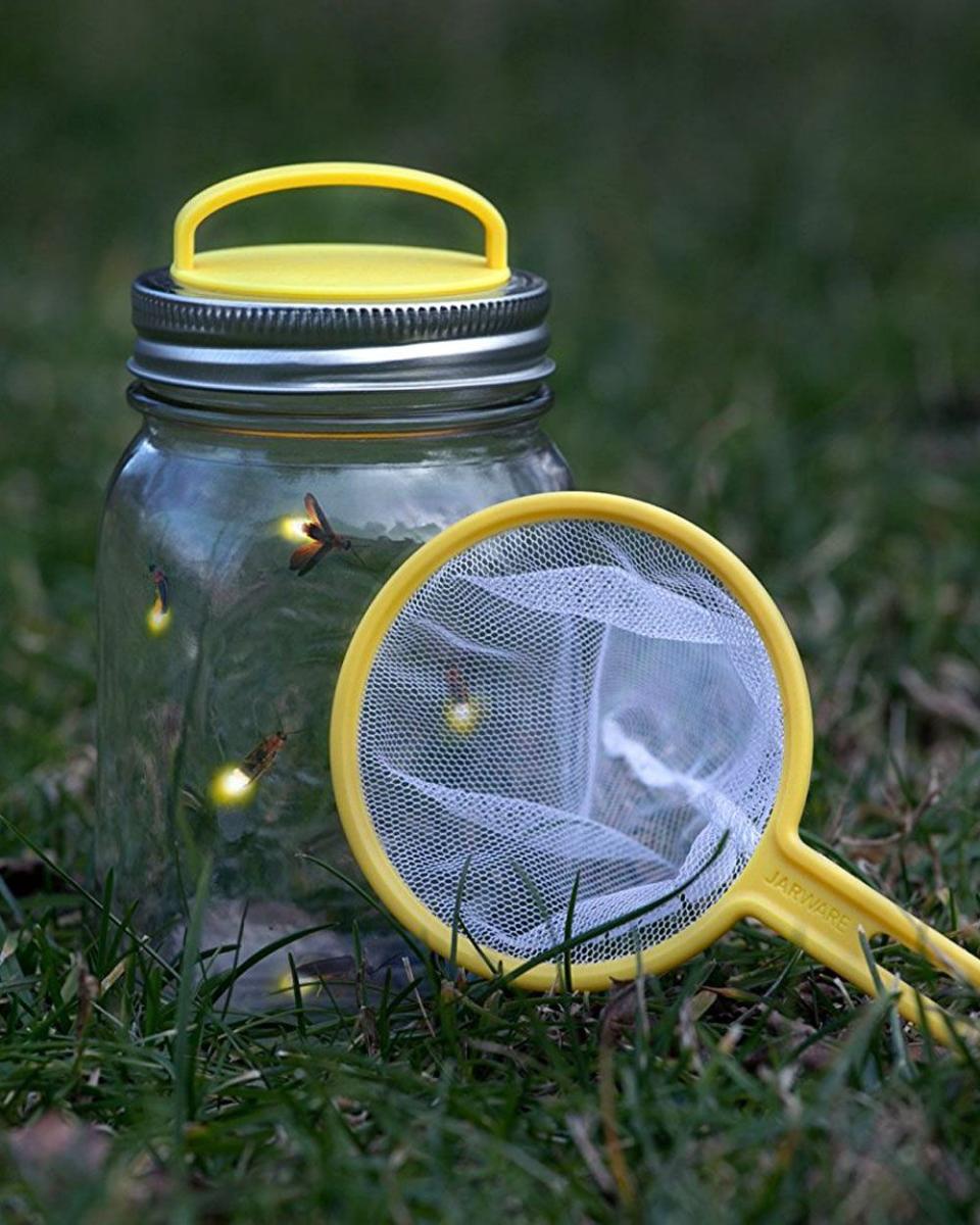 Firefly Net and Jar