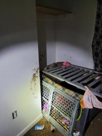 A 2-year-old boy was found covered in feces inside this makeshift cage in a Buffalo home in February 2024.