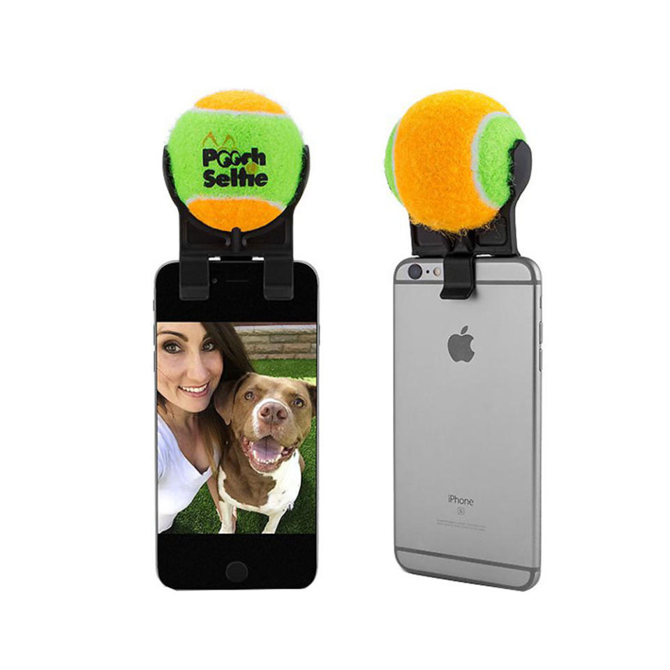 Pooch Selfie: Der Original-Selfiestick-Smartphone-Aufsatz für den Hund