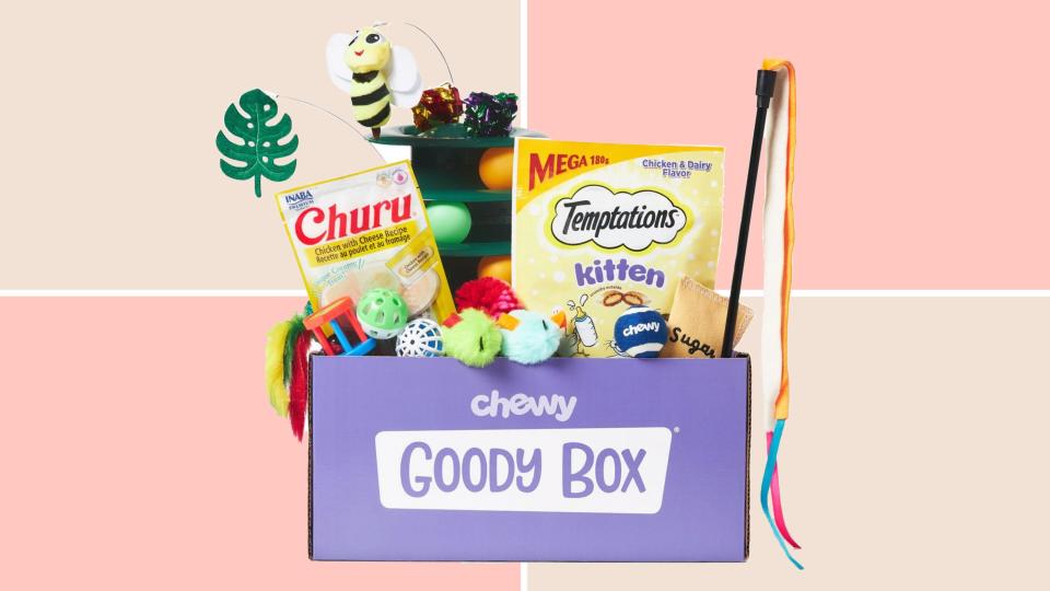 Best gifts for mom 2020: Chewy Cat Goody Box