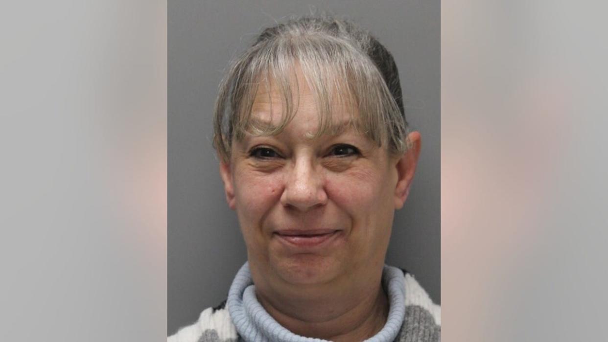 <div>Jane Fencer, 55, is accused of making "several" fraudulent charges through her New Castle County-based business, Wanderlust Tours and Travel.</div>