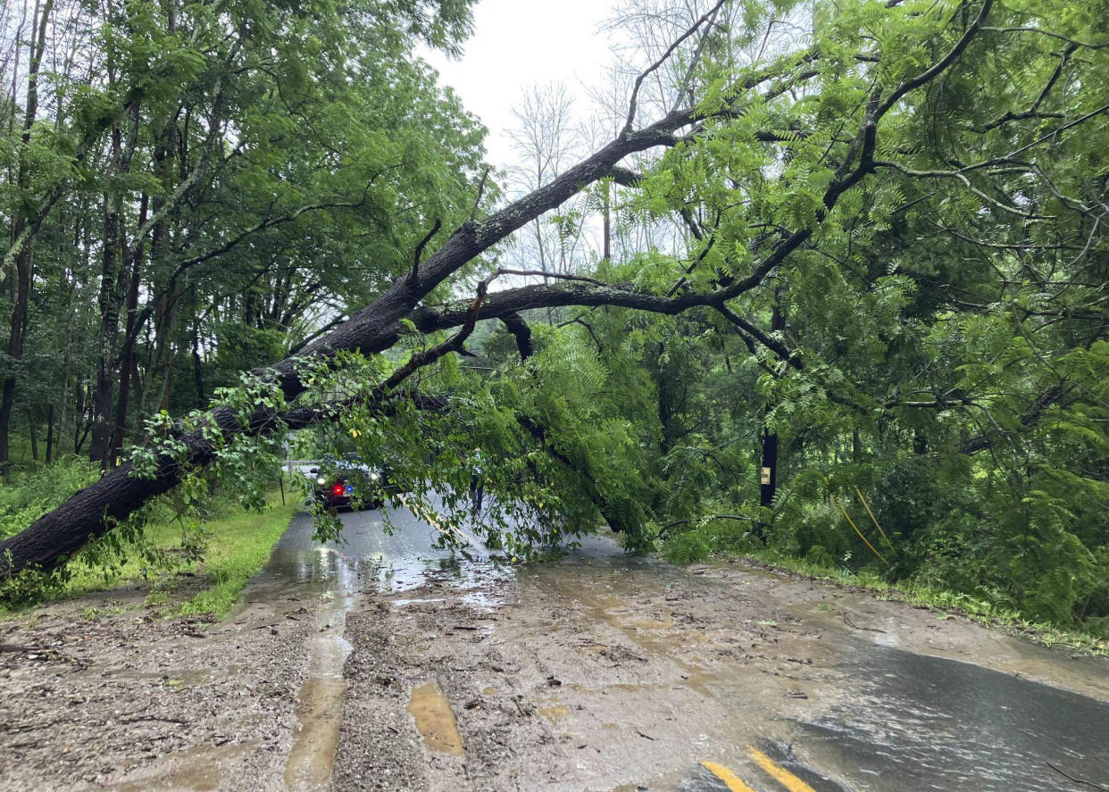 This photo provided by Jersey Central Power & Light shows flooding and a partially fallen tree along Swayze Mill Road, in Hope, N.J., Sunday, July 16, 2023. (Courtesy of JCP&L via AP)