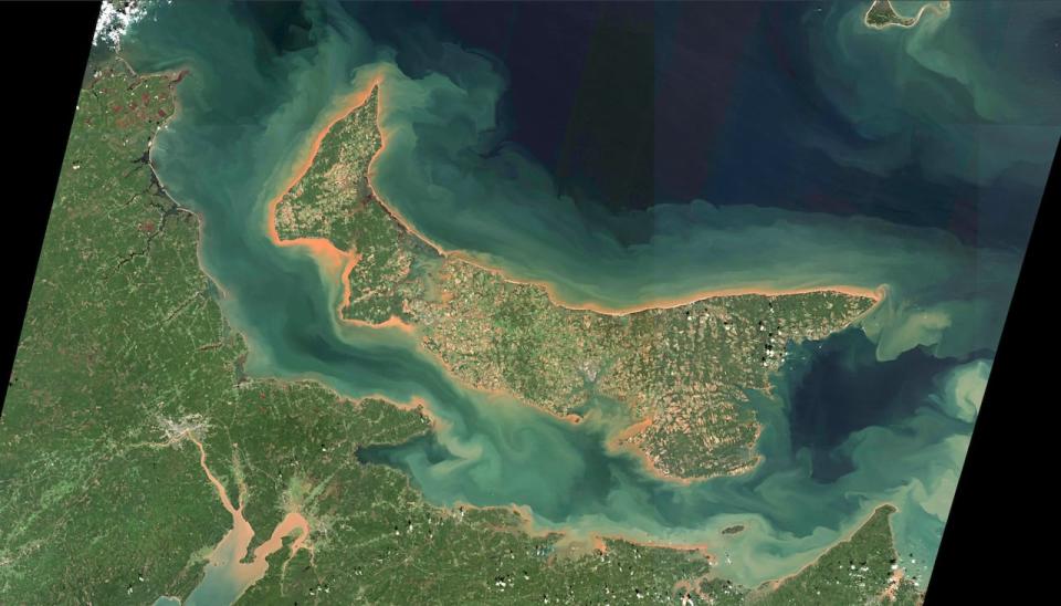 This satellite image is based on data from Sunday, Sept. 25, with the lighter sections around P.E.I.'s shores indicating where sand and soil from the land is now in shallow ocean water adjoining the shore. 