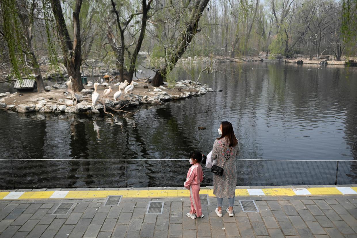A woman and a child wearing face masks visit Beijing Zoo on March 25, 2020, after it reopened its outdoor exhibit areas to the public after being closed due to the coronavirus outbreak.
