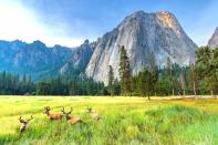 One of the country's most popular national parks, <a href="https://www.cntraveler.com/story/virtual-travel-from-yosemite-to-amsterdam-with-these-livestreams?mbid=synd_yahoo_rss" rel="nofollow noopener" target="_blank" data-ylk="slk:Yosemite" class="link ">Yosemite</a> contains alpine meadows, five of the world's highest waterfalls, giant sequoia groves, and the spectacular, half-mile-deep Yosemite Valley. And all that beauty didn't happen overnight—glacial erosion over millions of years birthed the spectacular park you see today.