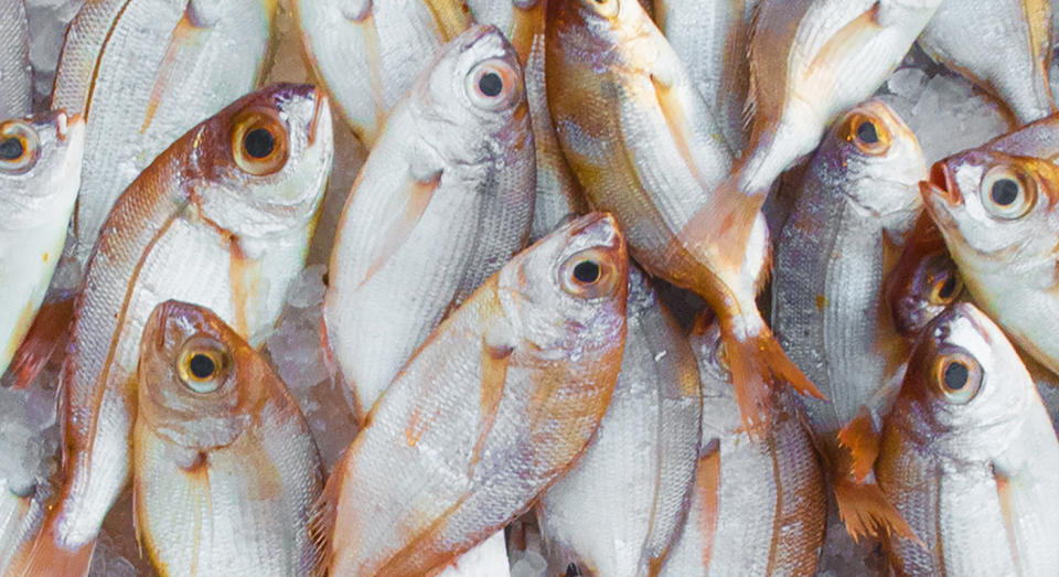 A boy died of an extreme reaction to fish. [Photo: Pexels]