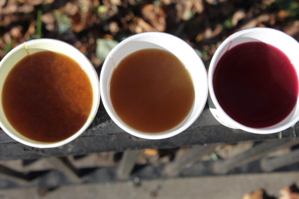 Bone Broth Review 